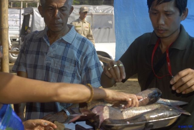 Fish Fair and Fish Crop Competition 2011 at Hatta Kangjeibung :: 27 October 2011