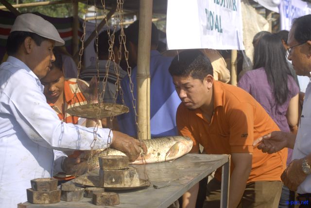 Fish Fair and Fish Crop Competition 2011 at Hatta Kangjeibung :: 27 October 2011