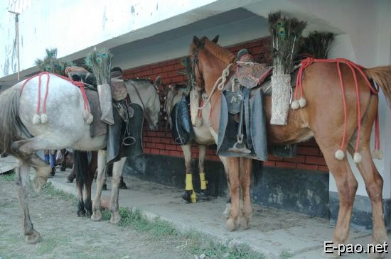 Saving Manipur pony
