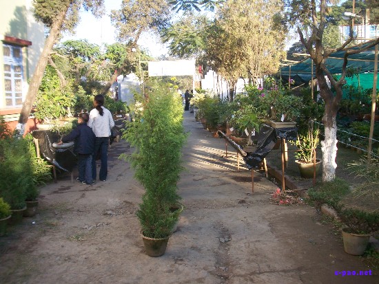 Flower Exhibition at GM Hall :: November 2008