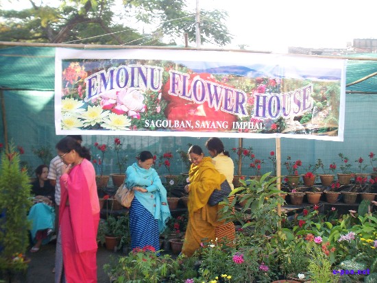 Flower Exhibition at GM Hall :: November 2008
