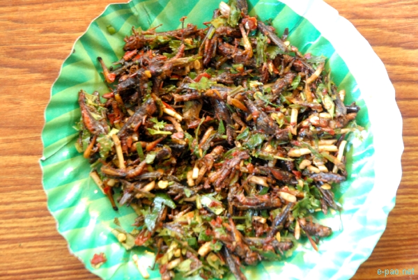 Second Manipur Chinzak Festival :: 30 November 2009