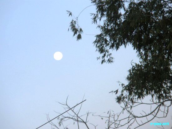 Flora of Manipur :: 2009