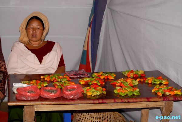 SARAS - Rural Artisan Fair 2009 :: 2nd week of November 2009