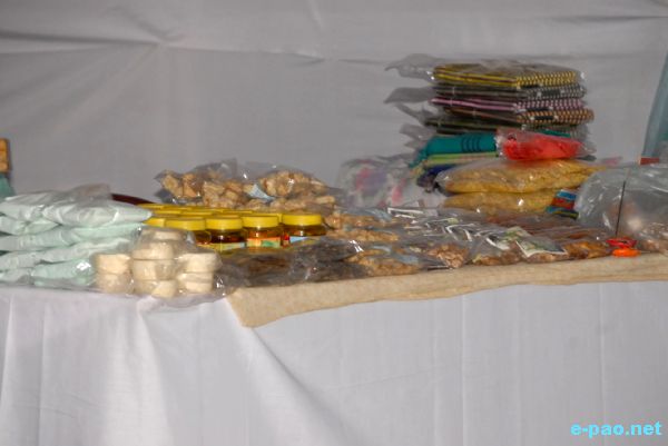 SARAS - Rural Artisan Fair 2009 :: 2nd week of November 2009