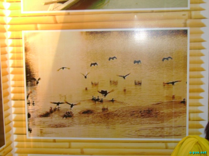 Manipur Stall at the Travel And Tourism Fair 2010 :: February 2010