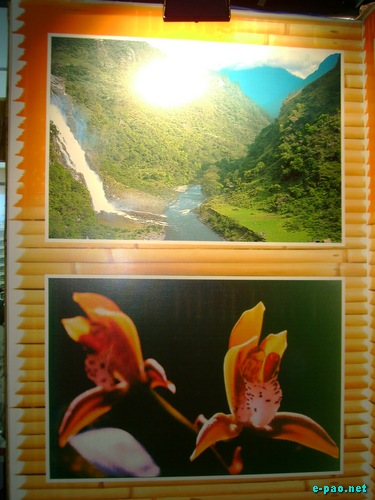 Manipur Stall at the Travel And Tourism Fair 2010 :: February 2010