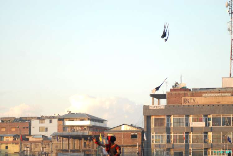 Arambai - deadly poisoned lethal flying weapon :: November 2011