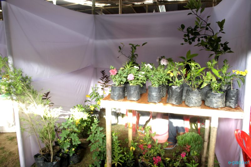 Craft Bazaar 2012 at Football Ground, Sangakpham, Imphal :: 29 March - 7 April 2012