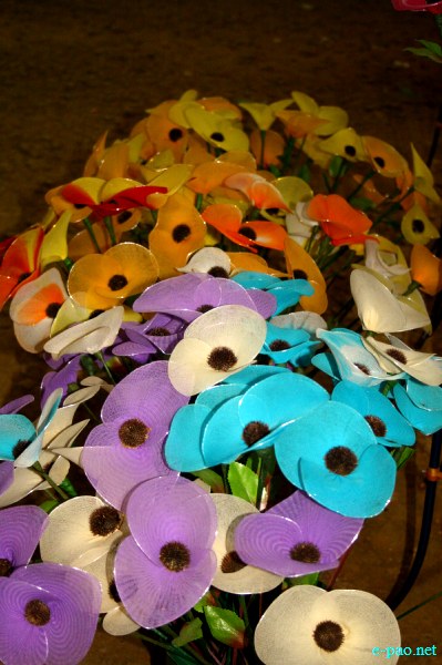 6th Regional Saras Fair 2012 at Iboyaima Shumang Lila Shanglen, Imphal :: 2 - 13 Nov 2012
