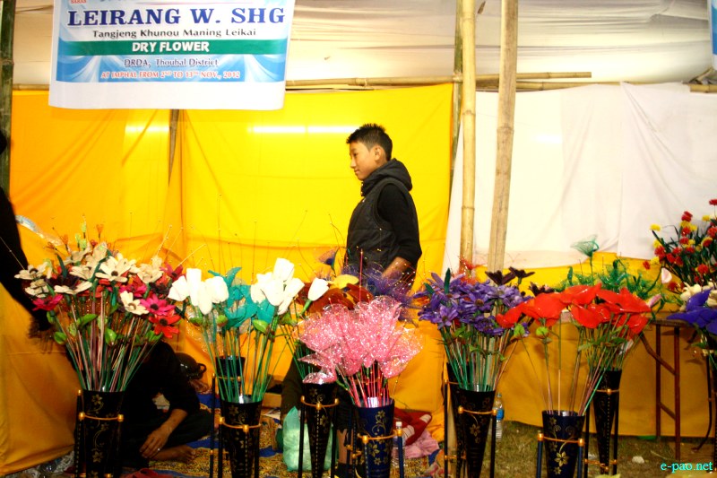 6th Regional Saras Fair 2012 at Iboyaima Shumang Lila Shanglen, Imphal :: 2 - 13 Nov 2012