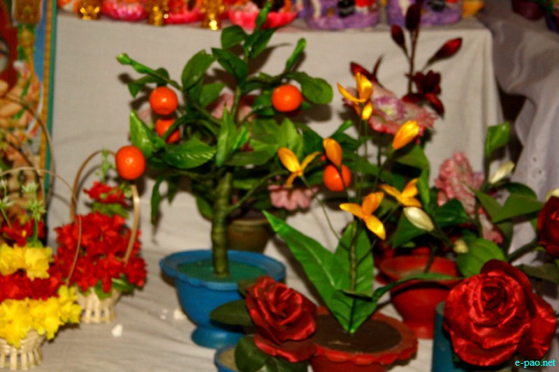 6th Regional Saras Fair 2012 at Iboyaima Shumang Lila Shanglen, Imphal :: 2 - 13 Nov 2012