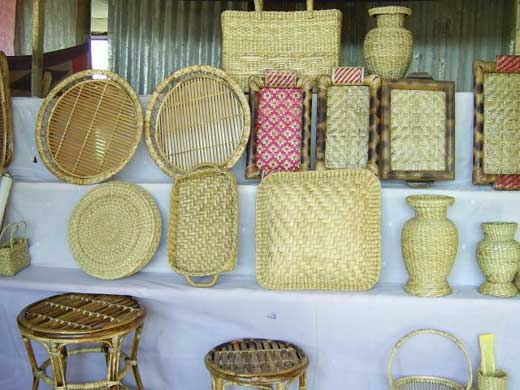 Winter Handloom Mela 2005