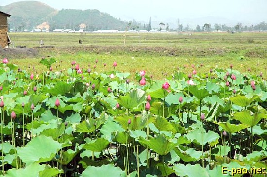 Scenery around Imphal :: 2008