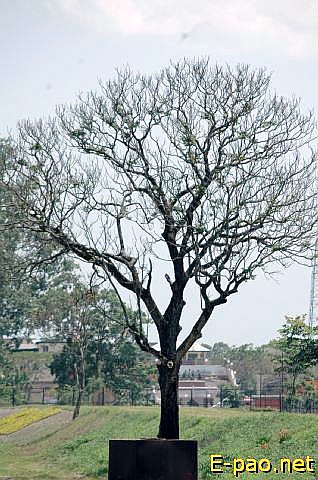 Scenery around Imphal :: 2008