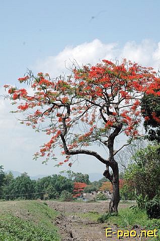 Scenery around Imphal :: 2008