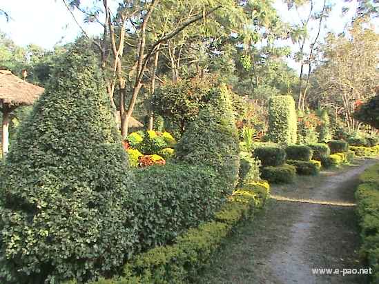 Asheiningthou Garden @ Mantripukri :: 2008
