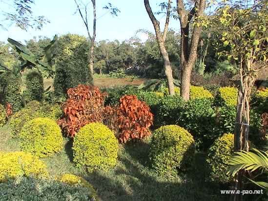 Asheiningthou Garden @ Mantripukri :: 2008