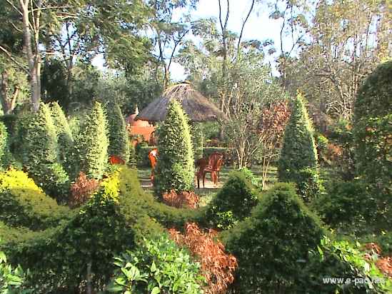 Asheiningthou Garden @ Mantripukri :: 2008