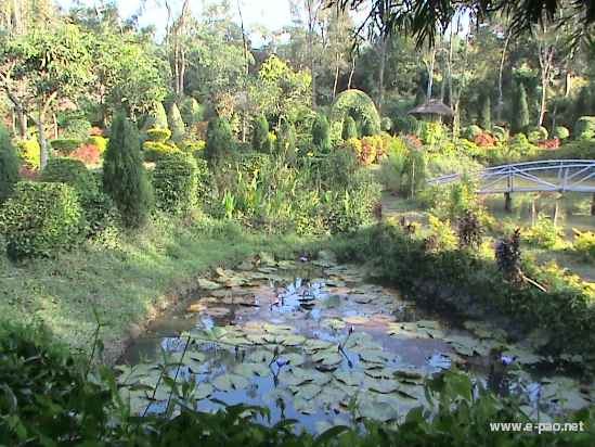 Asheiningthou Garden @ Mantripukri :: 2008