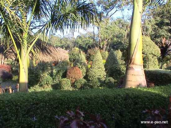 Asheiningthou Garden @ Mantripukri :: 2008