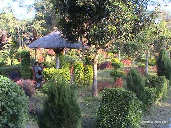 Asheiningthou Garden @ Mantripukri :: 2008