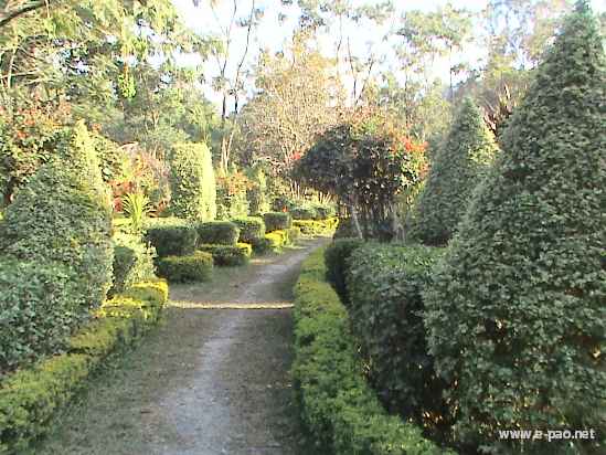 Asheiningthou Garden @ Mantripukri :: 2008