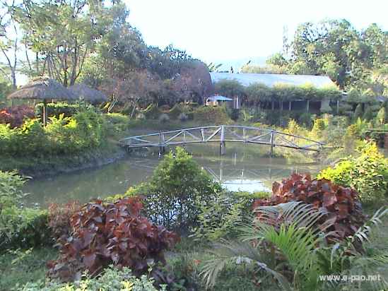 Asheiningthou Garden @ Mantripukri :: 2008