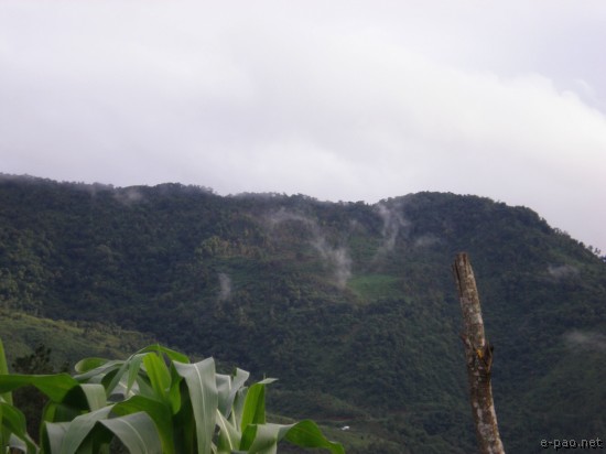 Verdant Hillside around Ukhrul :: 2008