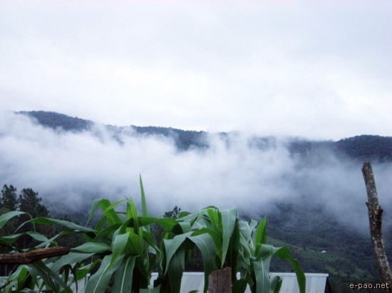 Verdant Hillside around Ukhrul :: 2008
