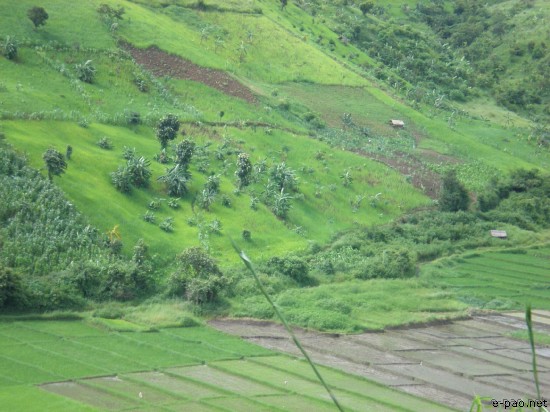 Verdant Hillside around Ukhrul :: 2008