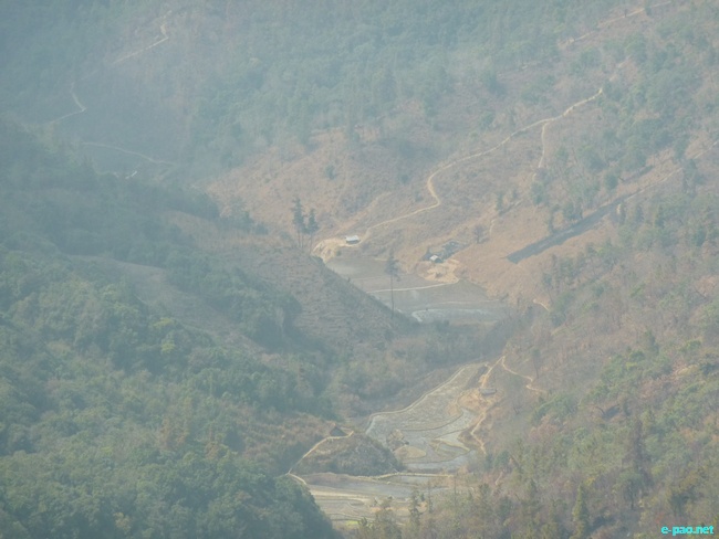 Shirui Kashong (Hill) in Ukhrul :: March 2010