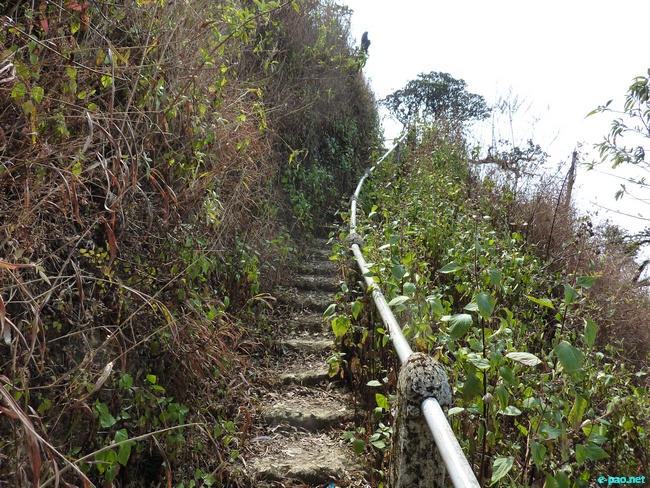 Shirui Kashong (Hill) in Ukhrul :: March 2010