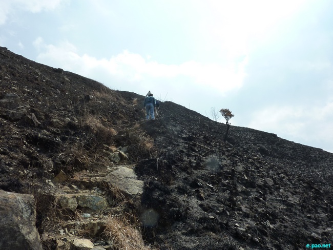 Shirui Kashong (Hill) in Ukhrul :: March 2010