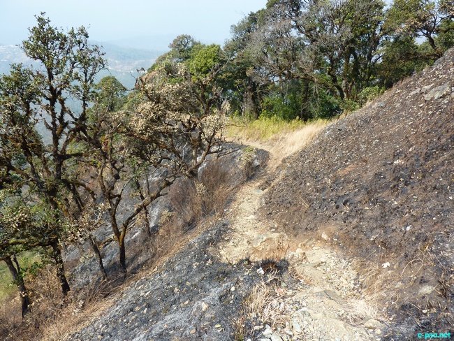 Shirui Kashong (Hill) in Ukhrul :: March 2010