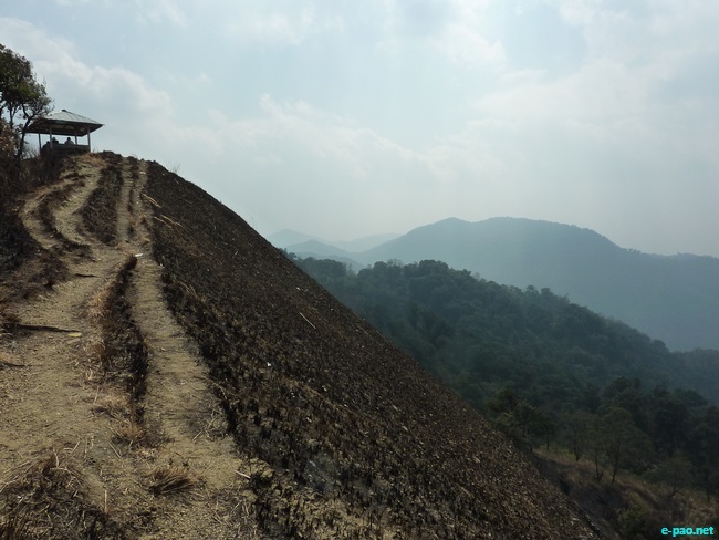 Shirui Kashong (Hill) in Ukhrul :: March 2010