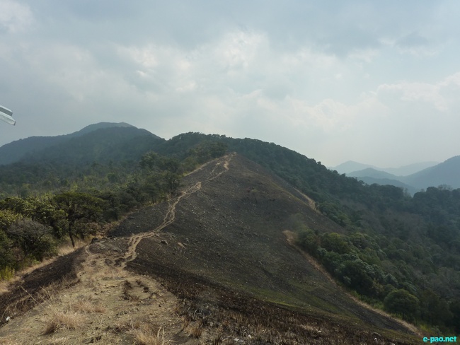Shirui Kashong (Hill) in Ukhrul :: March 2010