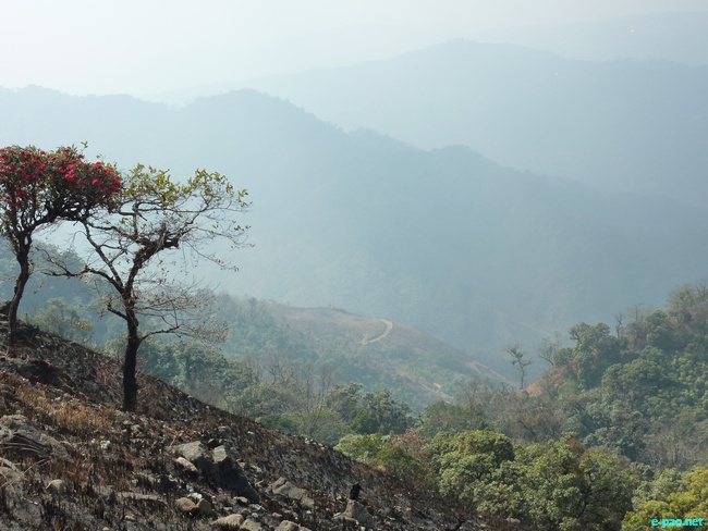 Shirui Kashong (Hill) in Ukhrul :: March 2010