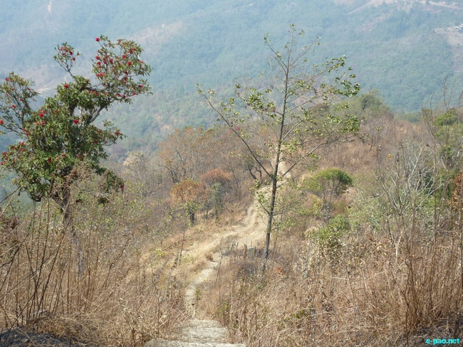 Shirui Kashong (Hill) in Ukhrul :: March 2010