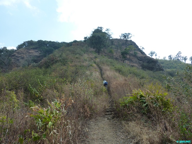 Shirui Kashong (Hill) in Ukhrul :: March 2010