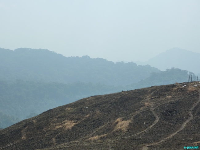 Shirui Kashong (Hill) in Ukhrul :: March 2010