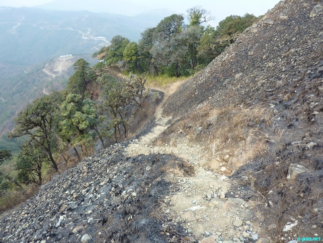 Shirui Kashong (Hill) in Ukhrul :: March 2010