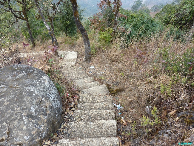 Shirui Kashong (Hill) in Ukhrul :: March 2010