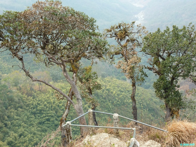 Shirui Kashong (Hill) in Ukhrul :: March 2010