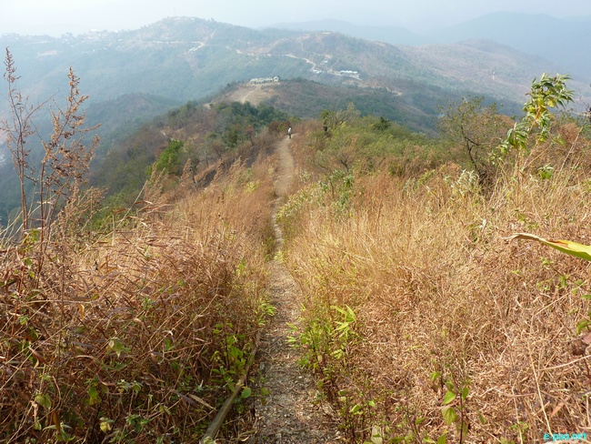 Shirui Kashong (Hill) in Ukhrul :: March 2010