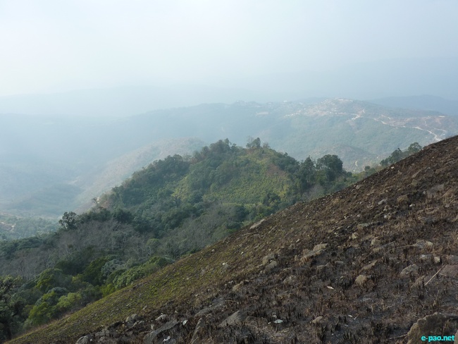 Shirui Kashong (Hill) in Ukhrul :: March 2010