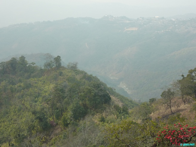 Shirui Kashong (Hill) in Ukhrul :: March 2010