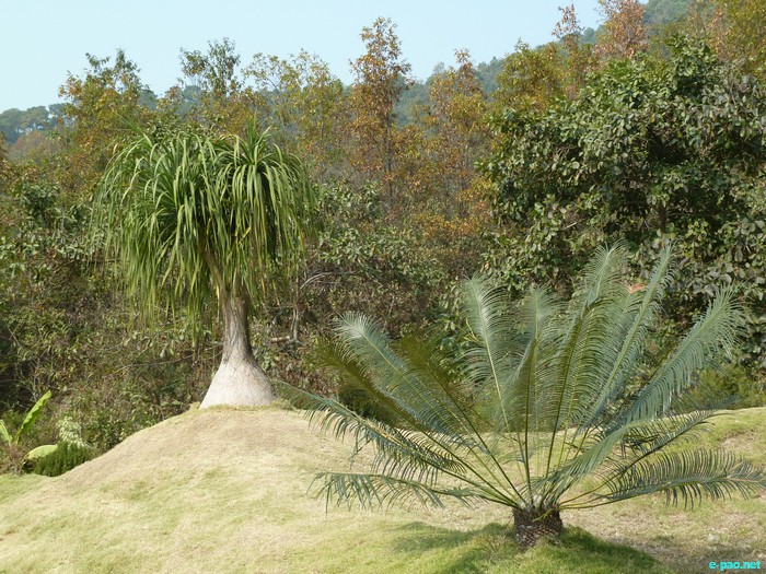 Selloi Langmai Ecological Park :: February 2011
