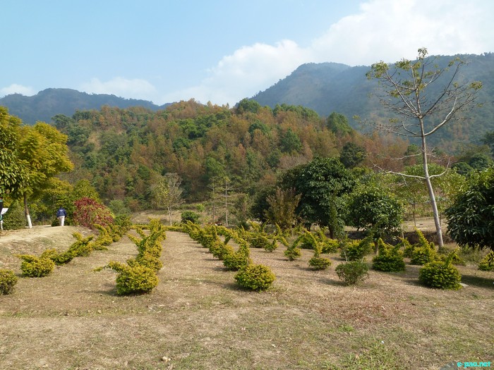 Selloi Langmai Ecological Park :: February 2011
