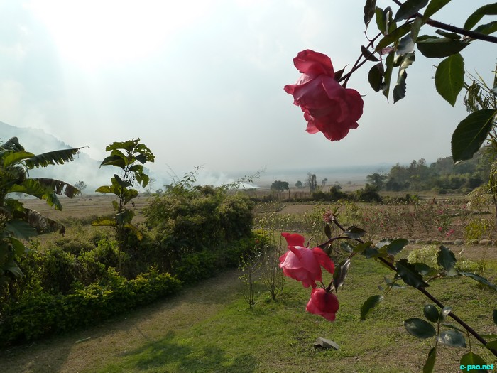 Selloi Langmai Ecological Park :: February 2011